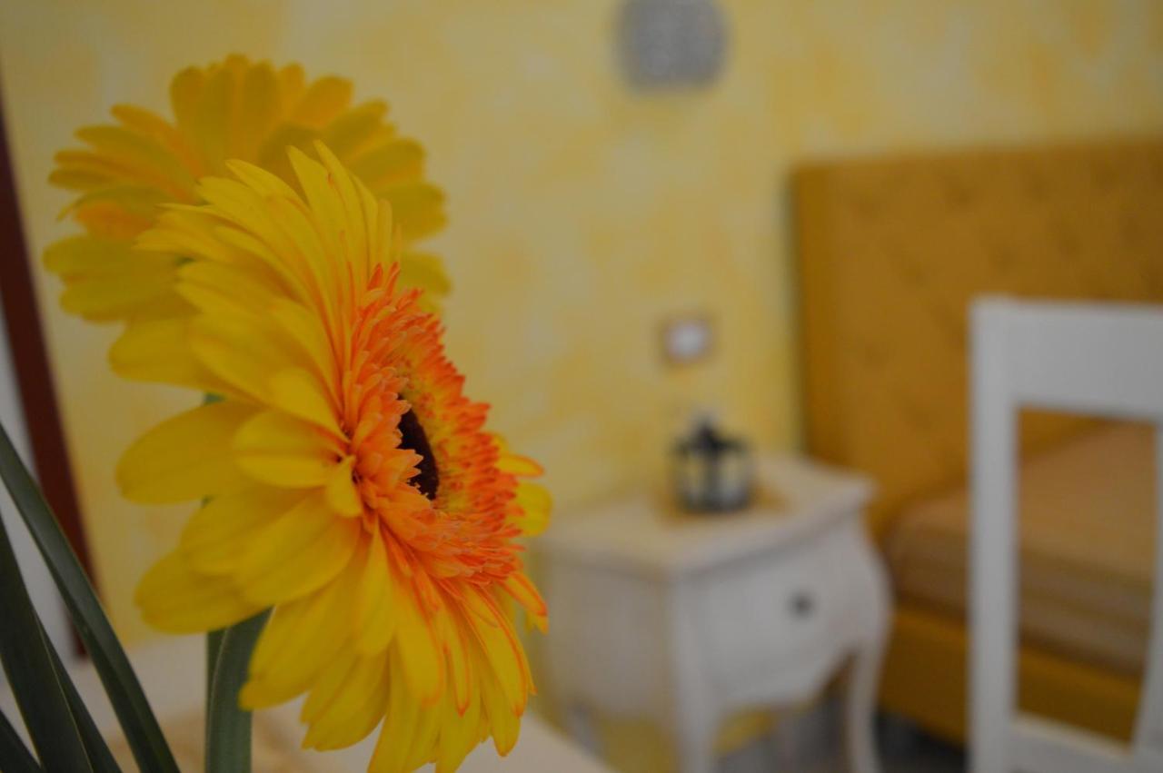 Tally B&B Salve Ngoại thất bức ảnh